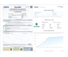 Škoda Fabia 1,2 TSi  Serviska,Tempomat,ALU - 47