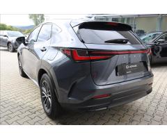 Lexus NX 450h+ 2,5 450+ 4×4 Executive - 19